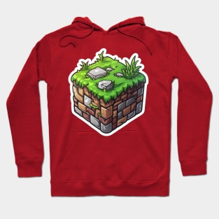 Minecraft Vinly Hoodie